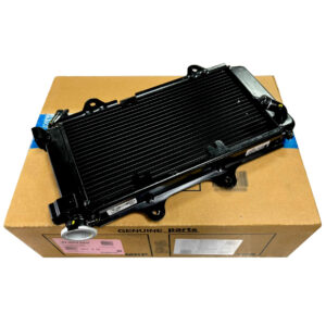 Radiador Moto Pulsar Ns 400z Bajaj